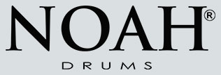  NOAH logo